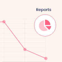 Audit Reports